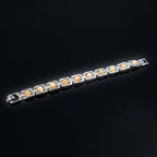 Rupastha Premium Sulemani Hakik Agate Luxury Link Bracelet