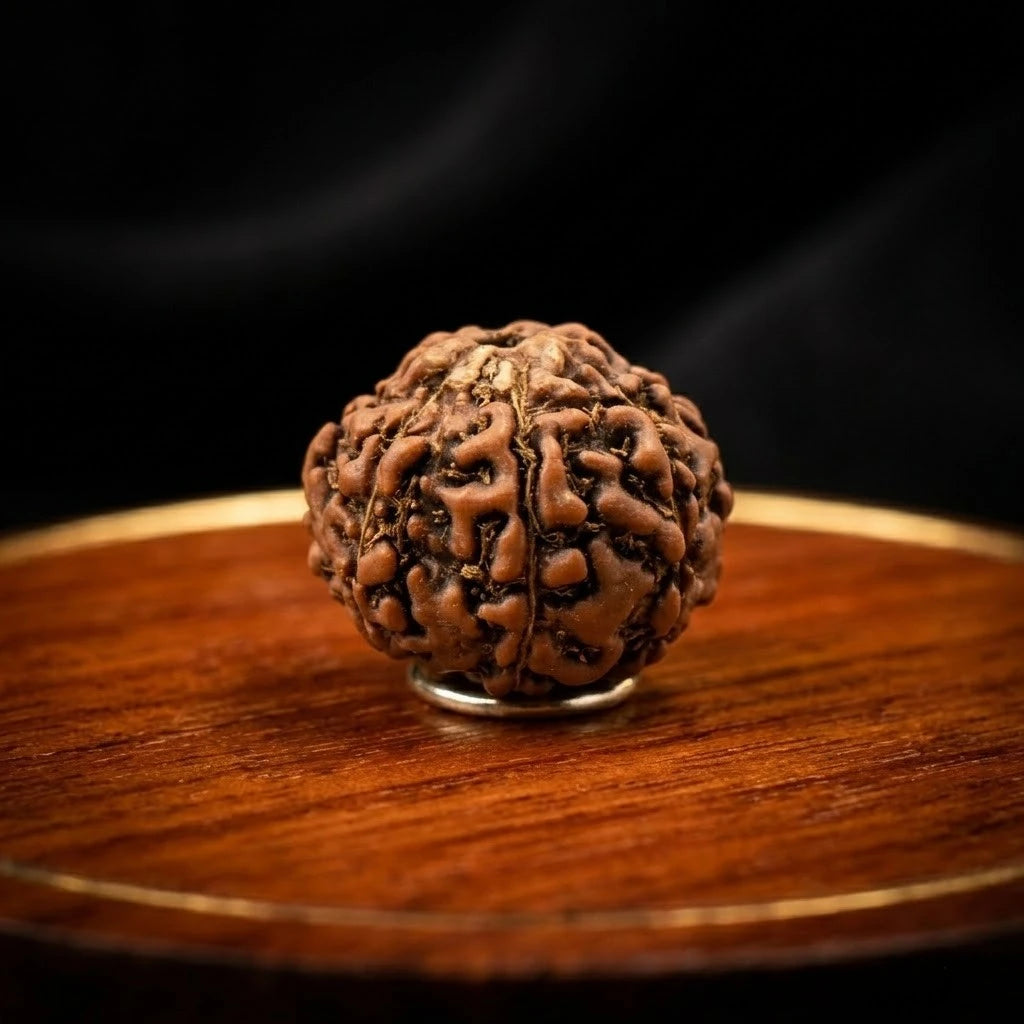 Rupastha Original Certified 7 Mukhi Rudraksha Bead
