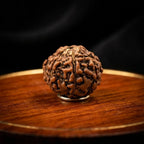 Rupastha Original Certified 7 Mukhi Rudraksha Bead