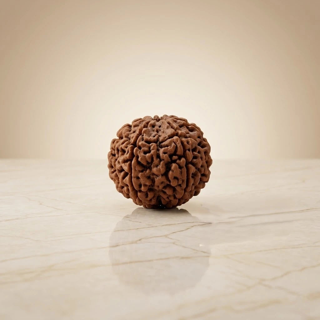 Rupastha Original Certified 10 Mukhi Rudraksha Bead