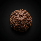 Rupastha Original Certified 10 Mukhi Rudraksha Bead