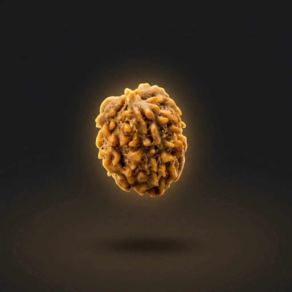 Rupastha Original Certified 3 Mukhi Rudraksha Bead