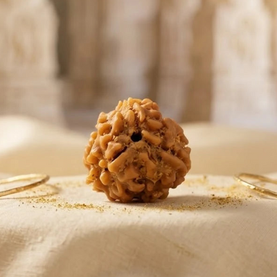 Rupastha Original Certified 3 Mukhi Rudraksha Bead