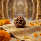Rupastha Original Certified 4 Mukhi Rudraksha Bead