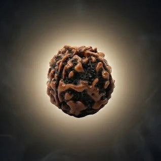 Rupastha Original Certified 4 Mukhi Rudraksha Bead
