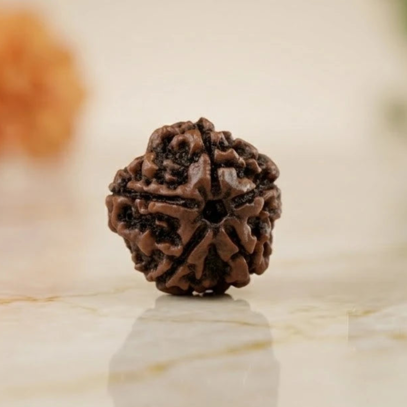 Rupastha Original Certified 5 Mukhi Rudraksha Bead