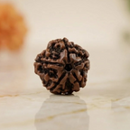 Rupastha Original Certified 5 Mukhi Rudraksha Bead