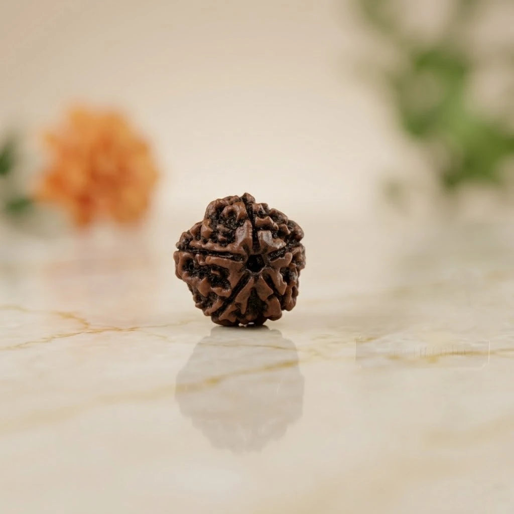 Rupastha Original Certified 5 Mukhi Rudraksha Bead