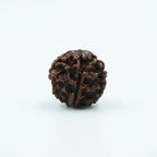 Rupastha Original Certified 5 Mukhi Rudraksha Bead