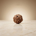Rupastha Original Certified 8 Mukhi Rudraksha Bead