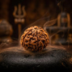 Rupastha Original Certified 8 Mukhi Rudraksha Bead