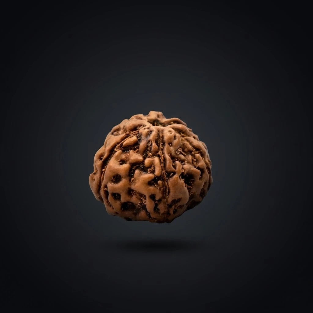 Rupastha Original Certified 8 Mukhi Rudraksha Bead