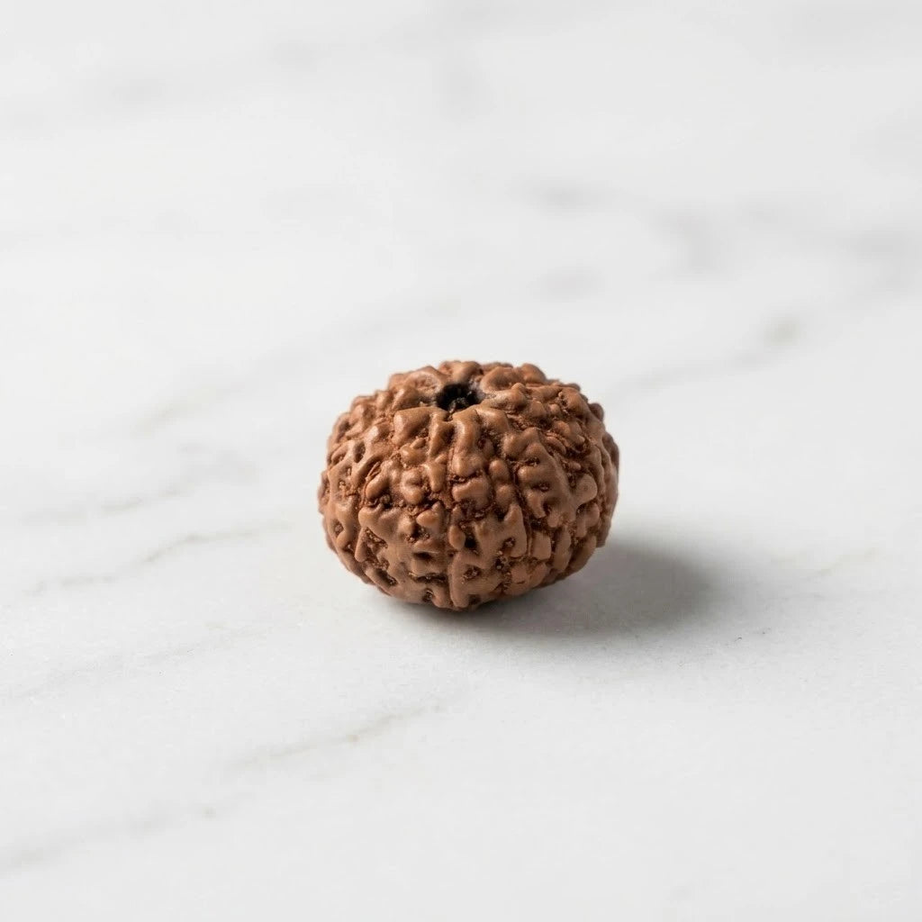 Rupastha Original Certified 9 Mukhi Rudraksha Bead