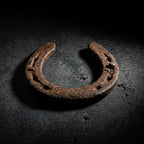 Rupastha Original Energized Kale Ghode Ki Naal (Black Horse shoe)