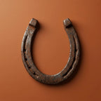 Rupastha Original Energized Kale Ghode Ki Naal (Black Horse shoe)